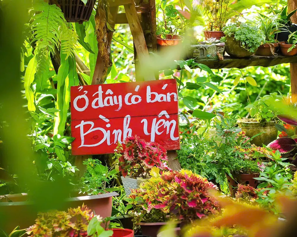 Bảng "Ở đây có bán bình yên"